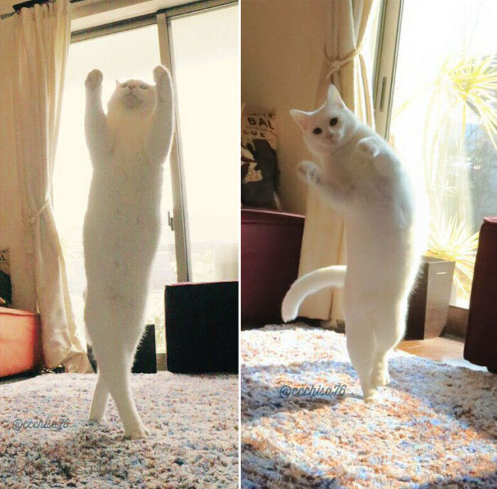 Источник: twitter.com