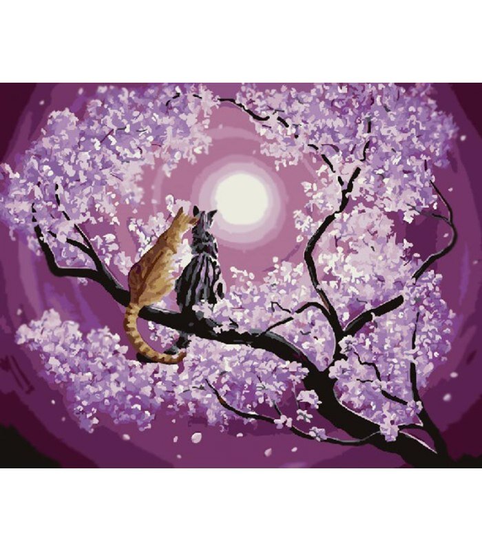 Ночь - время сказок и чудес!