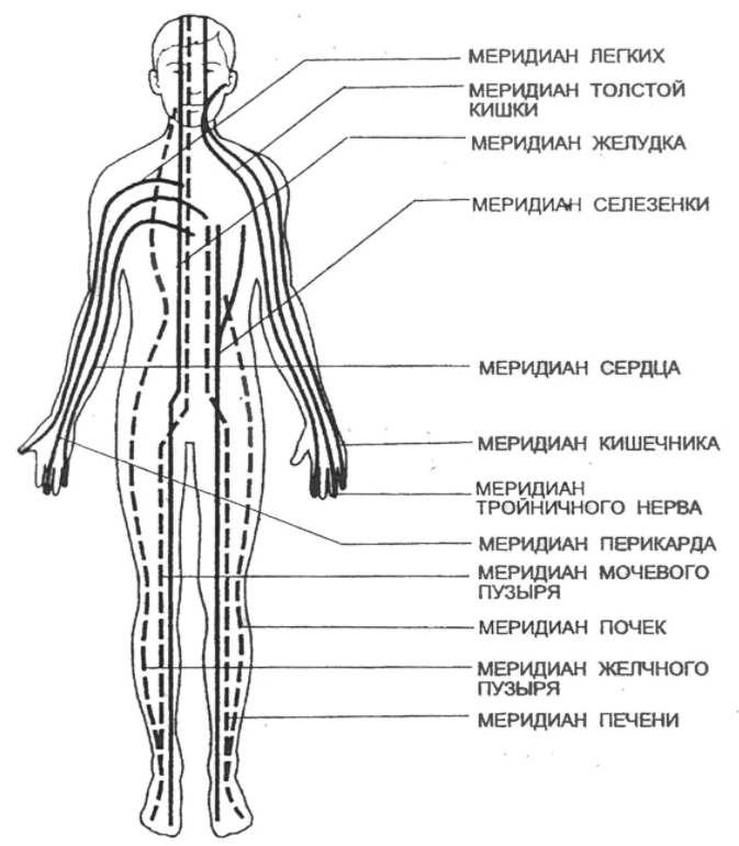 Каналы китайской медицины. 12 Энергетических меридианов человека. Энергетические каналы и меридианы человека схема и направления. Меридиан человека схема энергетических каналов. Энергетические каналы человека (меридианы).