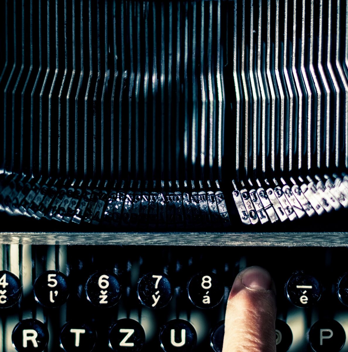 Фото с сайта Pixabay