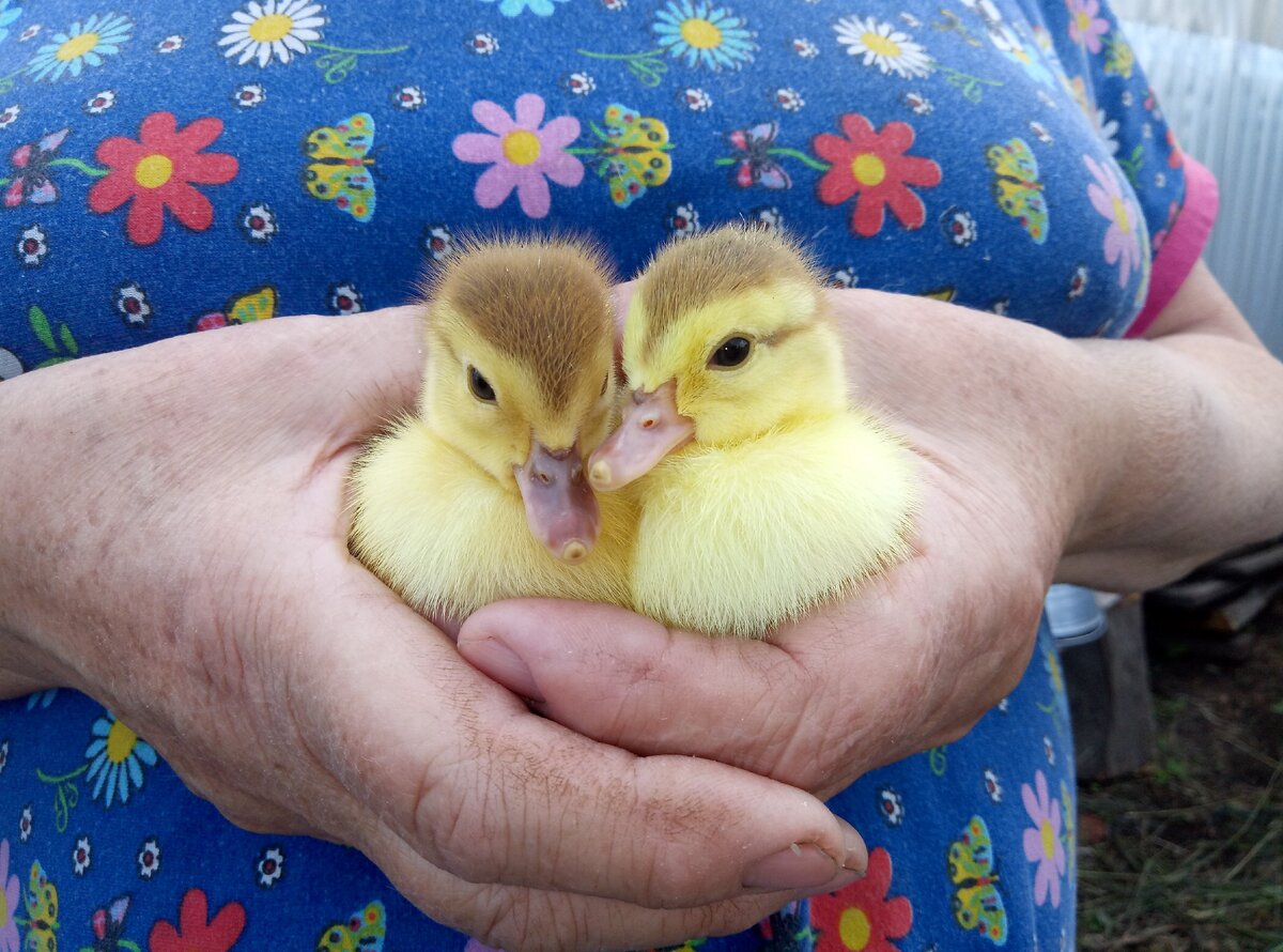 Мамуля со своими любимчиками.
