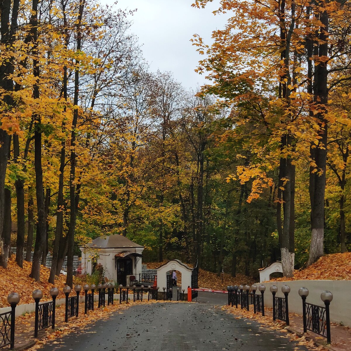 Золотая осень. На территории Саввино-сторожевского монастыря. Фото автора