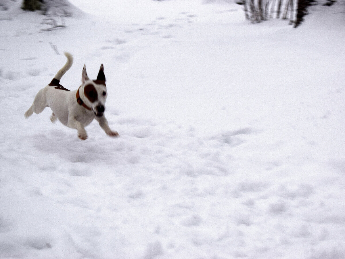 Снова бежать!
