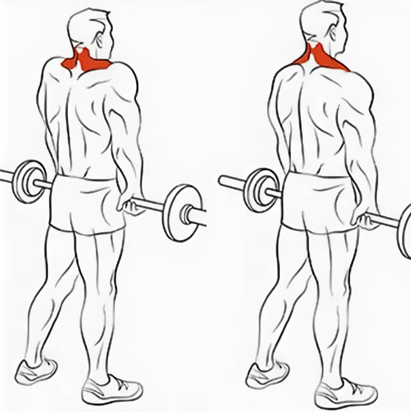 Подъем на плечи стоя. Шраги со штангой на трапецию. Упражнение шраги со штангой. Шраги со штангой стоя. Трапеция упражнения шраги гантелями.