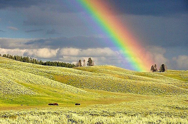 Сочность красок, как в детстве. Состояние молодости