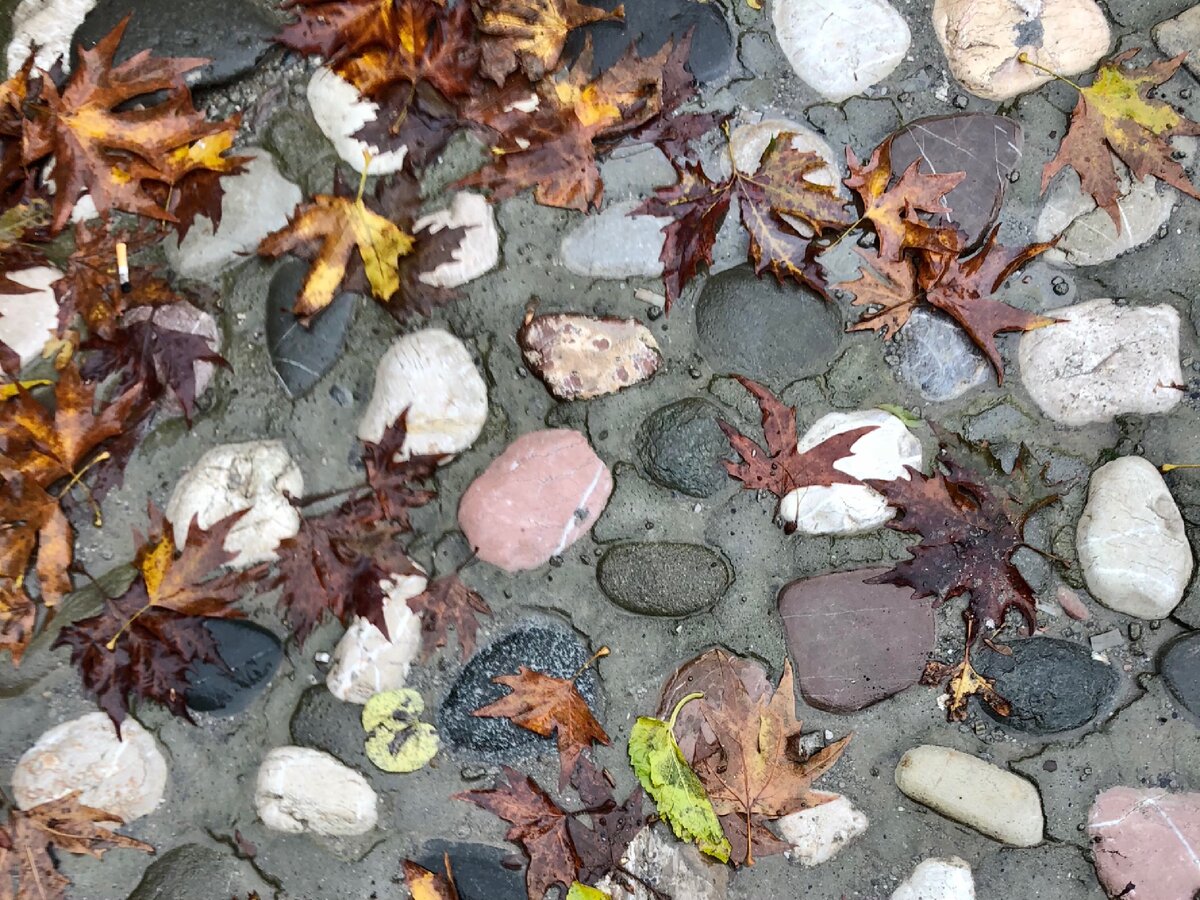 Дорожка в монастыре