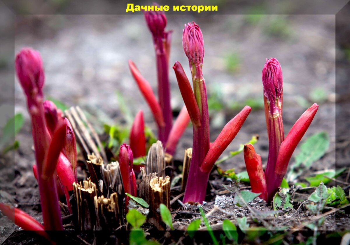 https://vk.com/photo-159774511_457247073
