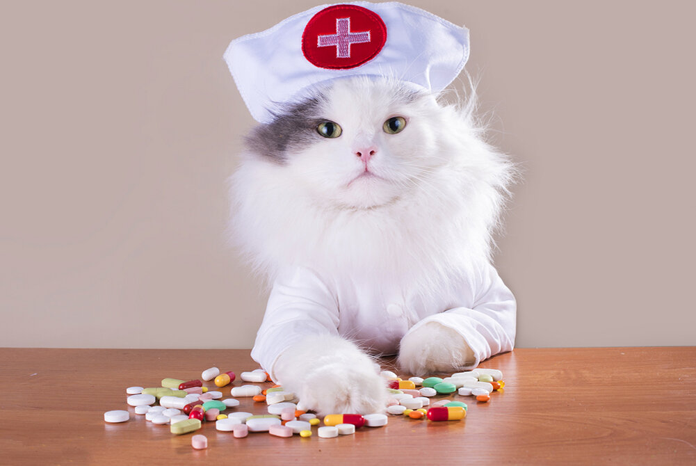 Так, доктор, распишите-ка мне как принимать вот эти таблеточки. Да побыстрее!
Фото из Яндекс.Картинки.