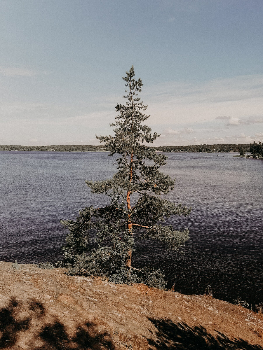 Скальные пейзажи парка Монрепо