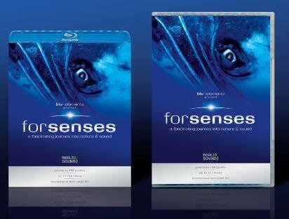 Blu:: Elements Present  "Forsenses"  Blu-ray и DVD 