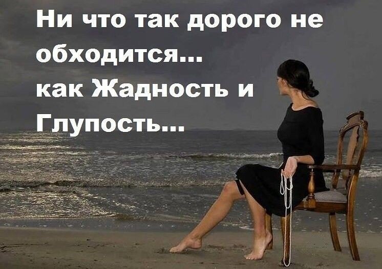 жадность глупость. жадность. афоризмы про жадность и скупость. жадность и глупость. понятие жадность для детей.