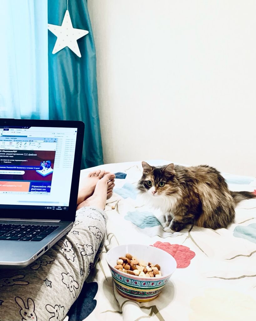 Как-то так я работаю последние две недели в связи с больничным