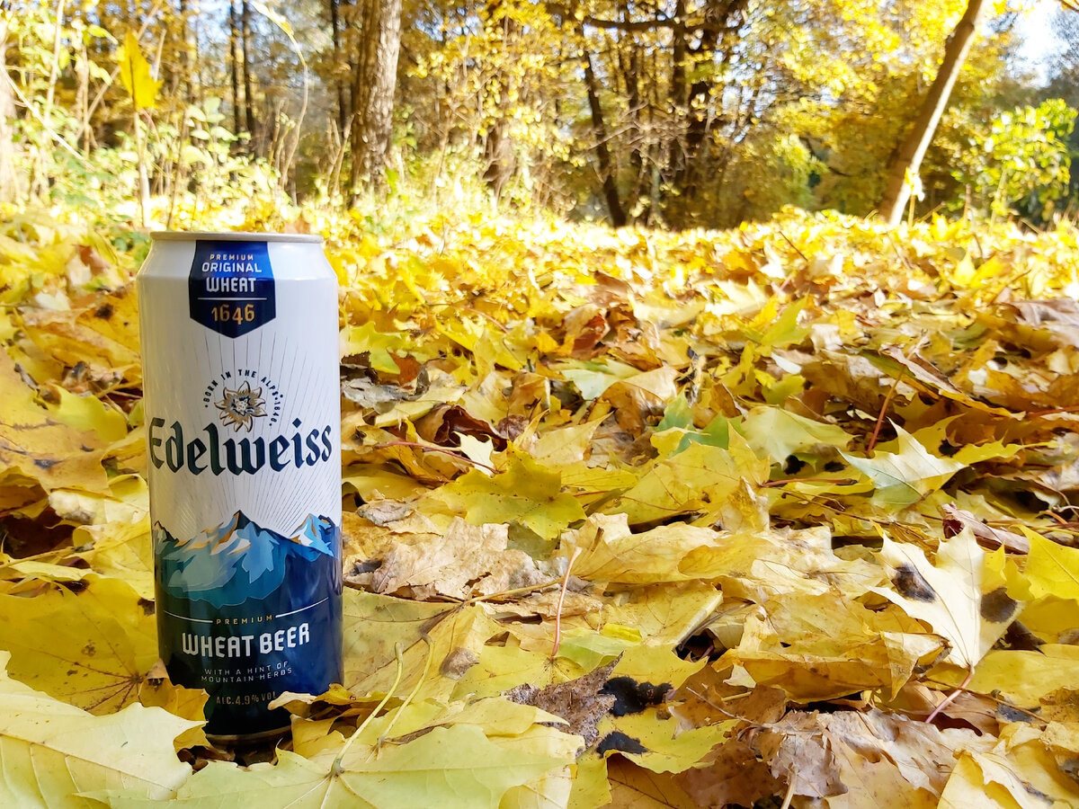
Edelweiss Wheat Beer, фото автора
