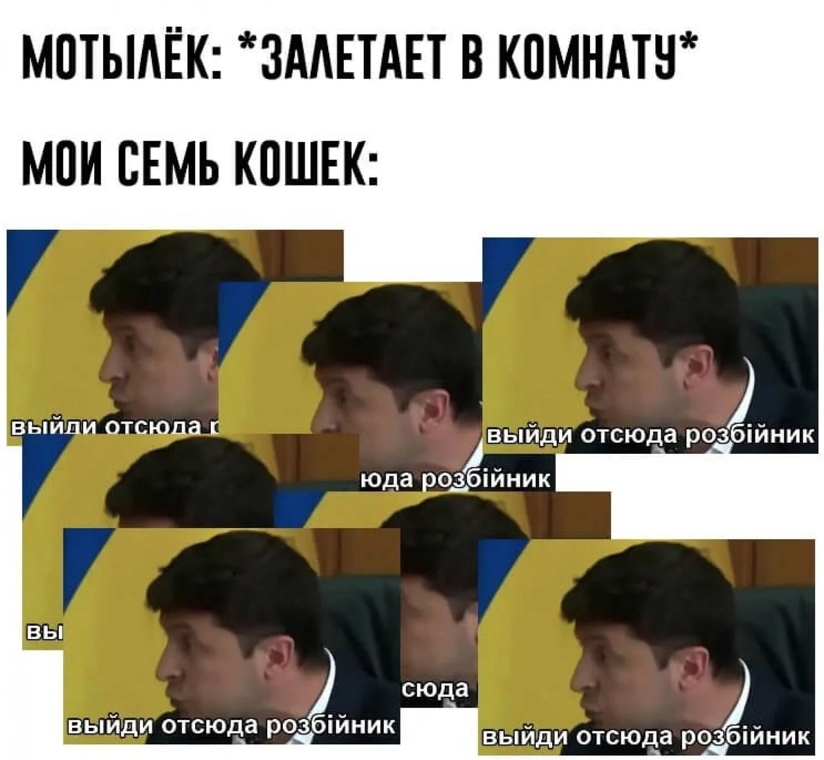 Зеленский мем разбойник. Зеленский выйди разбойник. Зеленский выйди разбойник. Зеленский выйди разбойник. Выйди отсюда рузбейный.