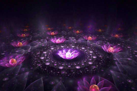 Мы хотим с вами встретиться, потому что знаем вас как самого порядочного и честного журналиста в городе…