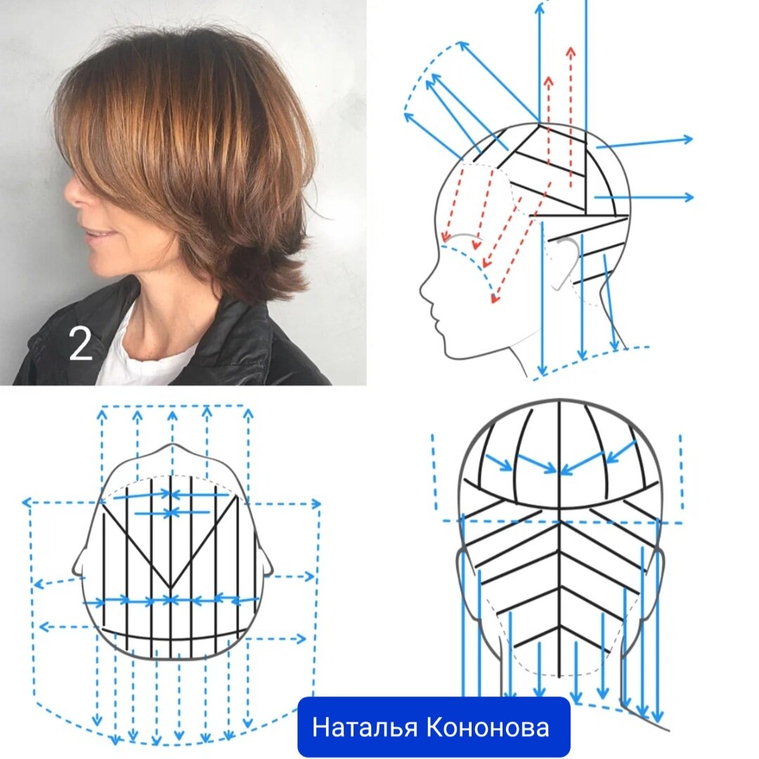 градуированный каскад схема стрижки | Красота и здоровье | dobroheart.ru