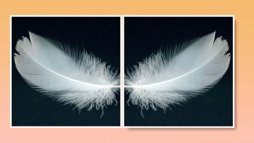 Этот приём называется «Лебединые перышки на бровях» // коллаж автора, изображения pixabay.com