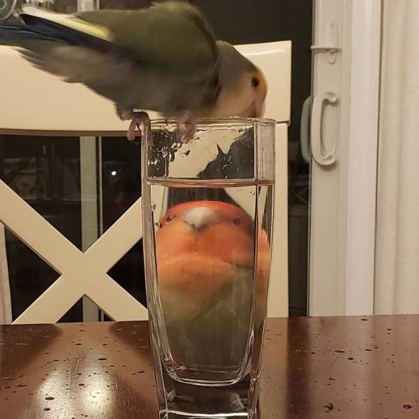 -2