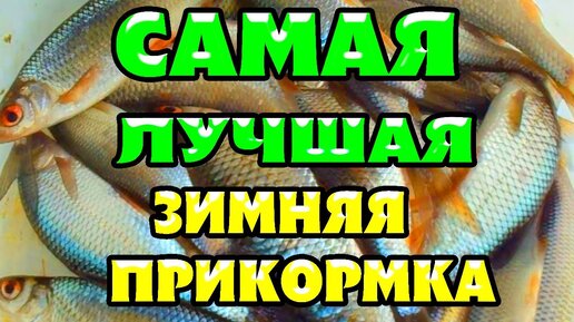 Любительский фидер. Ловля плотвы весной. Спекулятис против обычной прикормки.