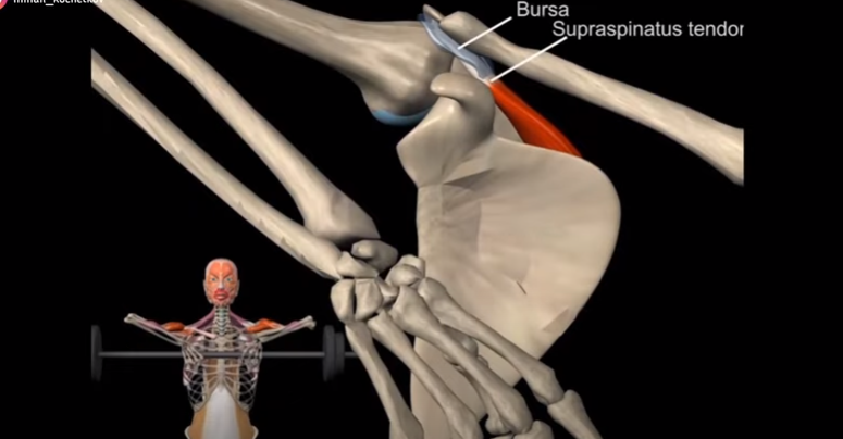 Картинка из сети интернет.
