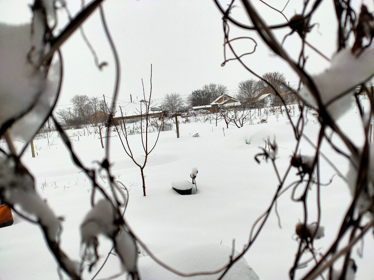 Фотография сделана автором канала