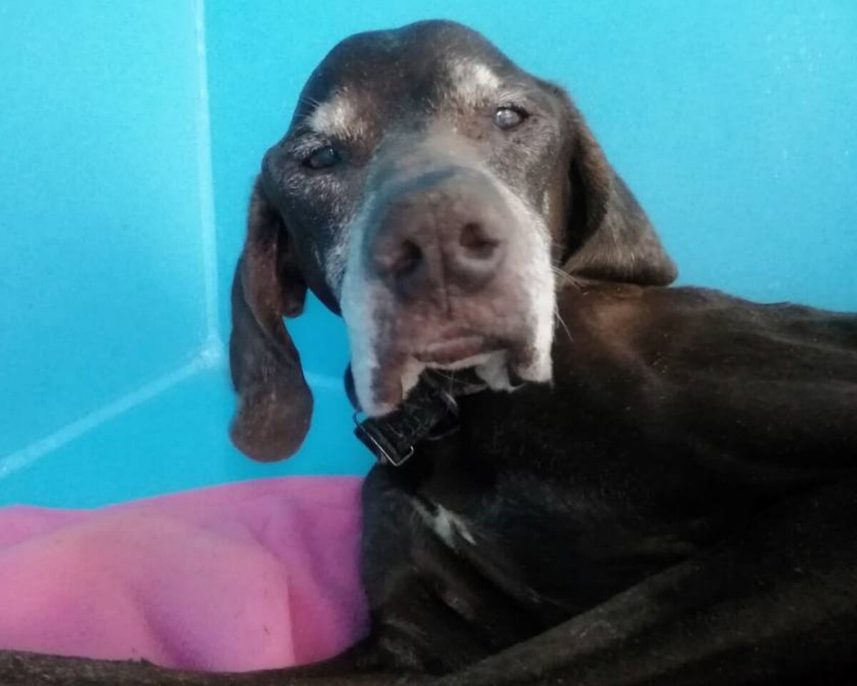 Ну как в него не влюбиться?! 🥰