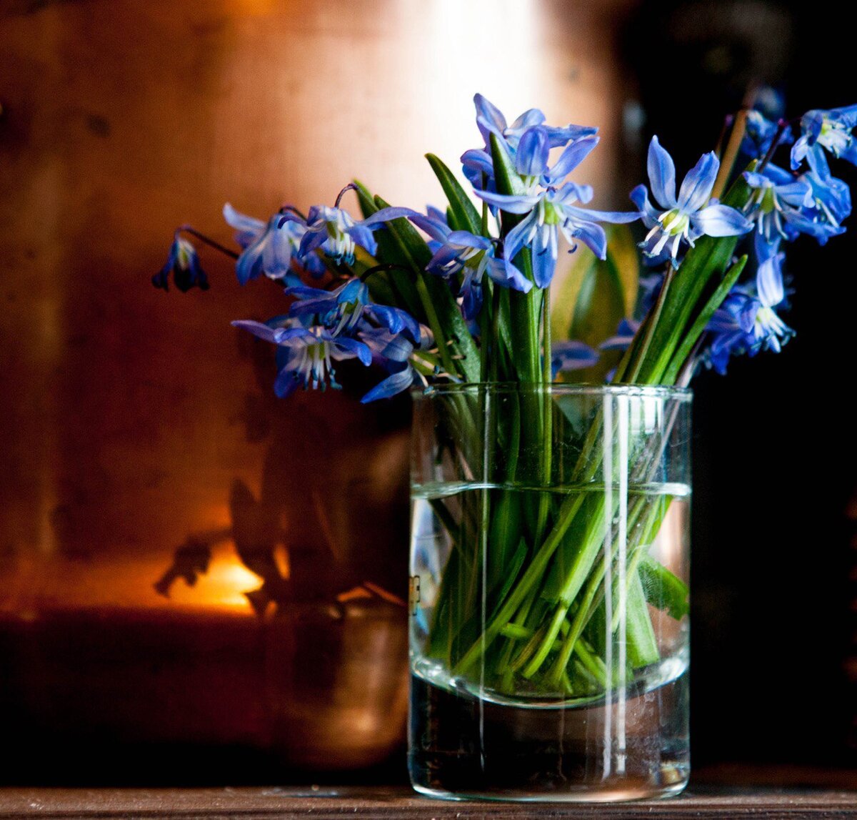 Фото с сайта Школы Вероники Калачовой. 