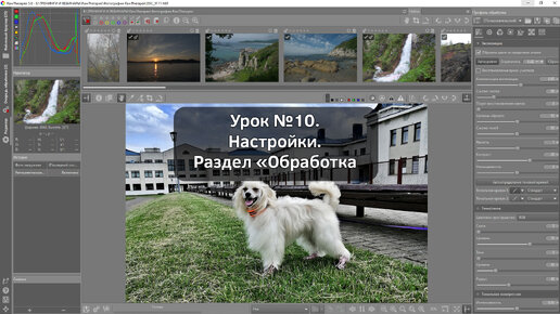 Серия уроков по RawTherapee. Урок №10. Настройки. Раздел «Обработка изображения»