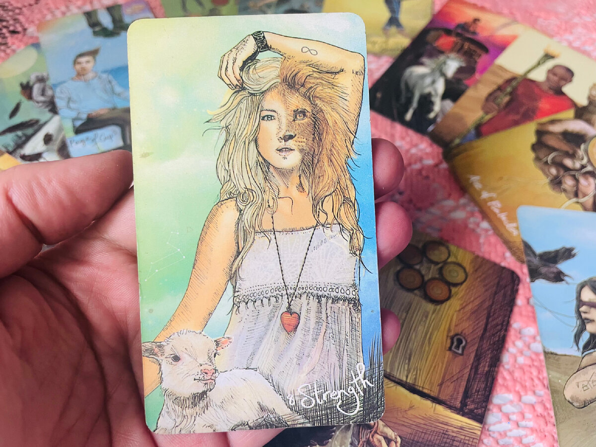 Внутреннее состояние Раков