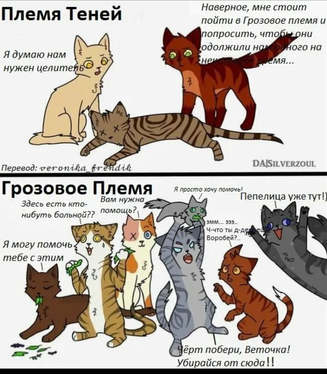 фанфик коты воители смешные фото 13