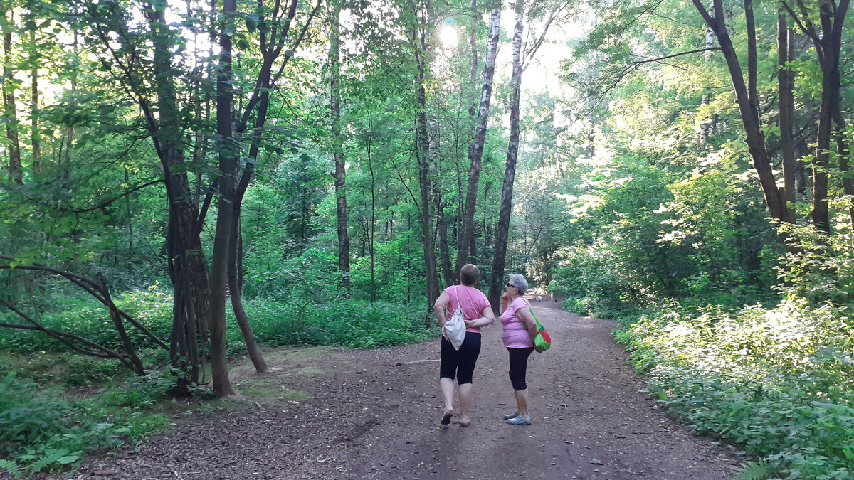 В Алешкинском лесопарке. Фото автора