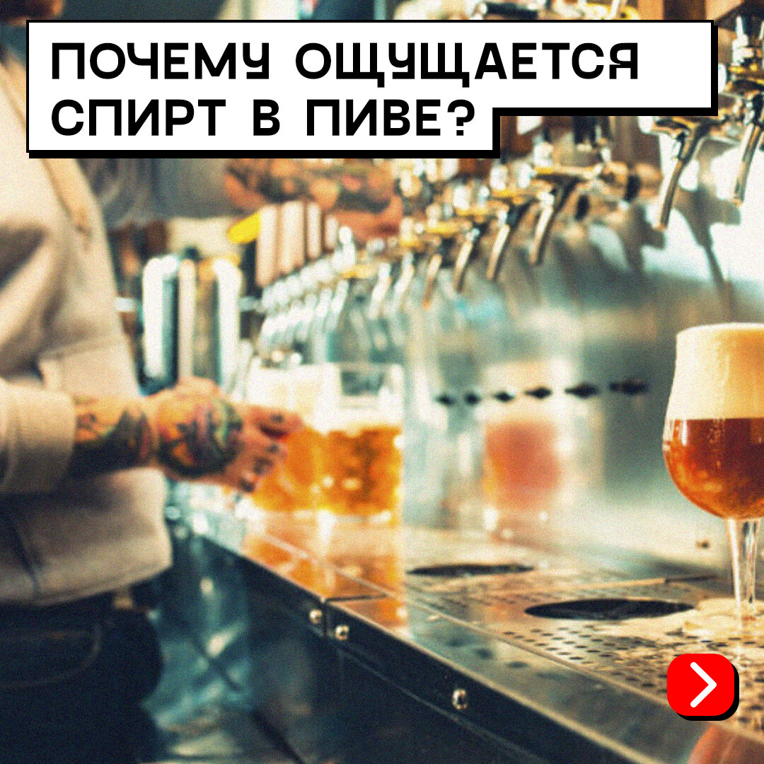 ПОЧЕМУ ОЩУЩАЕТСЯ СПИРТ В ПИВЕ? | MOSBREW | Дзен