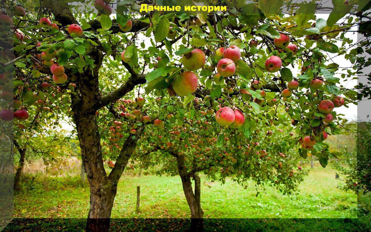 https://vk.com/photo-159774511_457255146