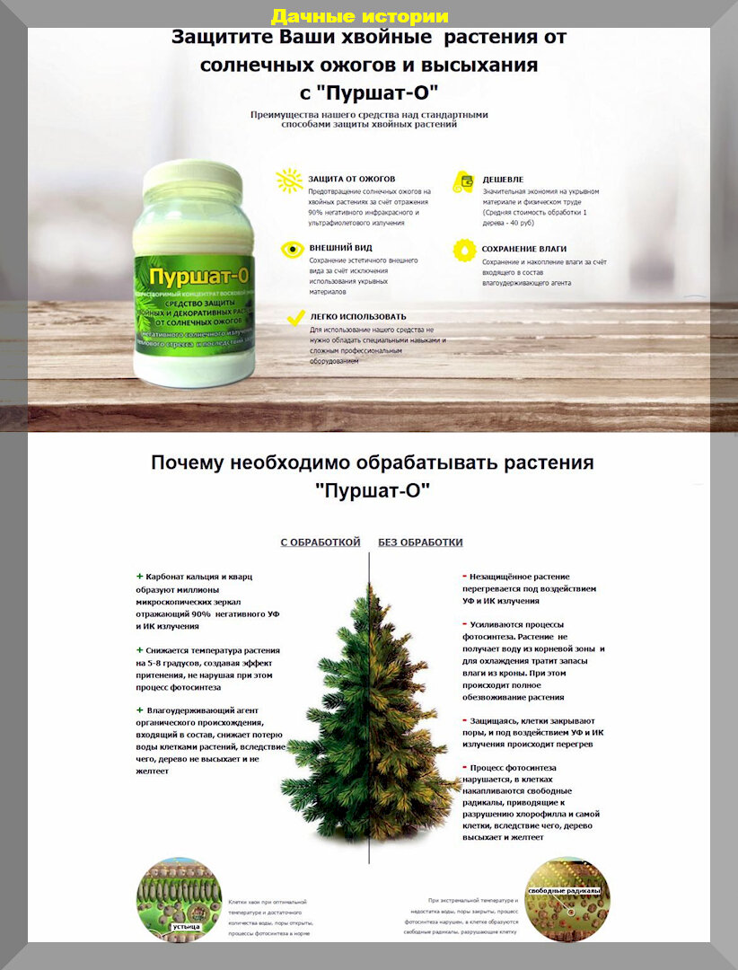 https://vk.com/photo-159774511_457256975