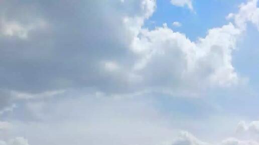 IT КОТ | Москва пляж Серебрянный бор лето 2022 года | Дзен