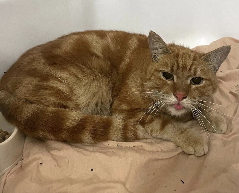 Расти в душевой кабине