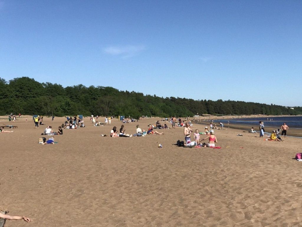    Петербуржцы загорают на пляже в Репино. Фото: "Мойка78"