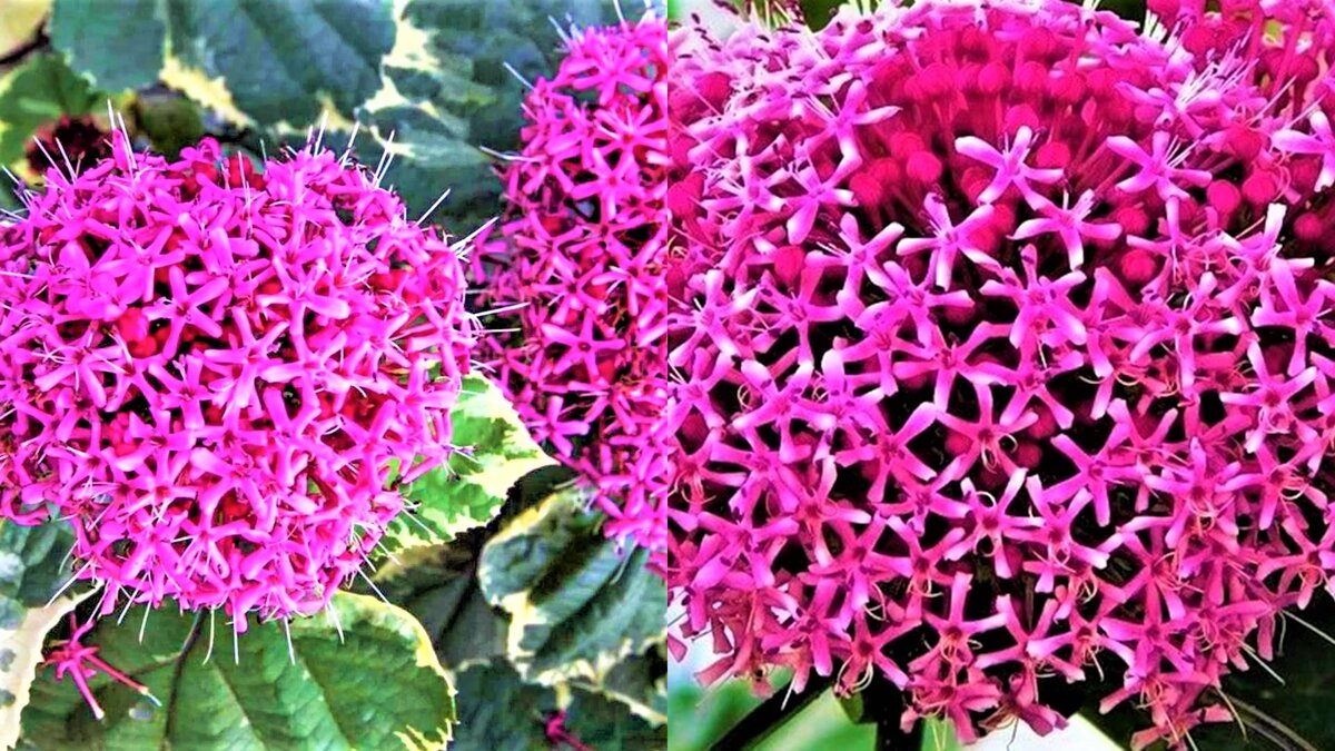 Листайте галерею для просмотра. 