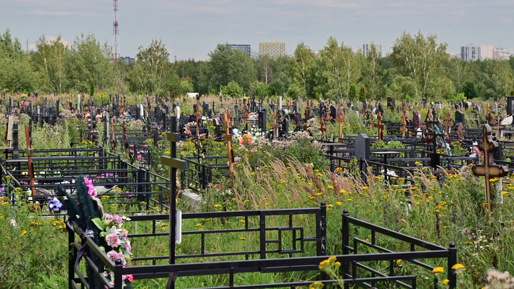 VLADIMIR BARANOV/GLOBAL LOOK PRESS 