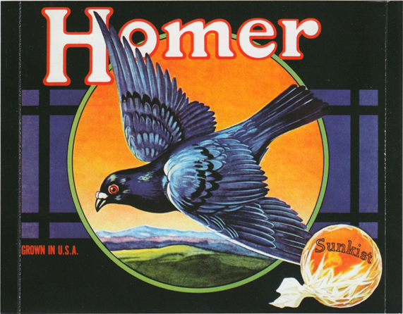 альбом “Grown in U.S.A.” 1970 год.