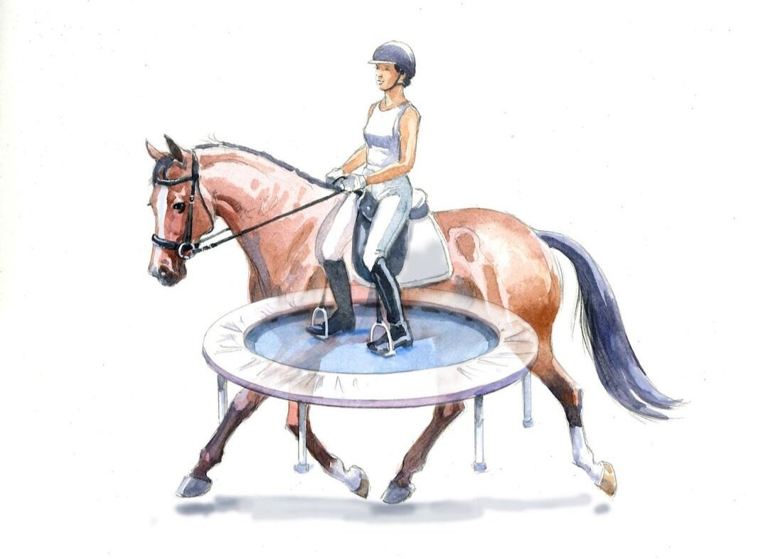 Картинка с сайта dressagetoday