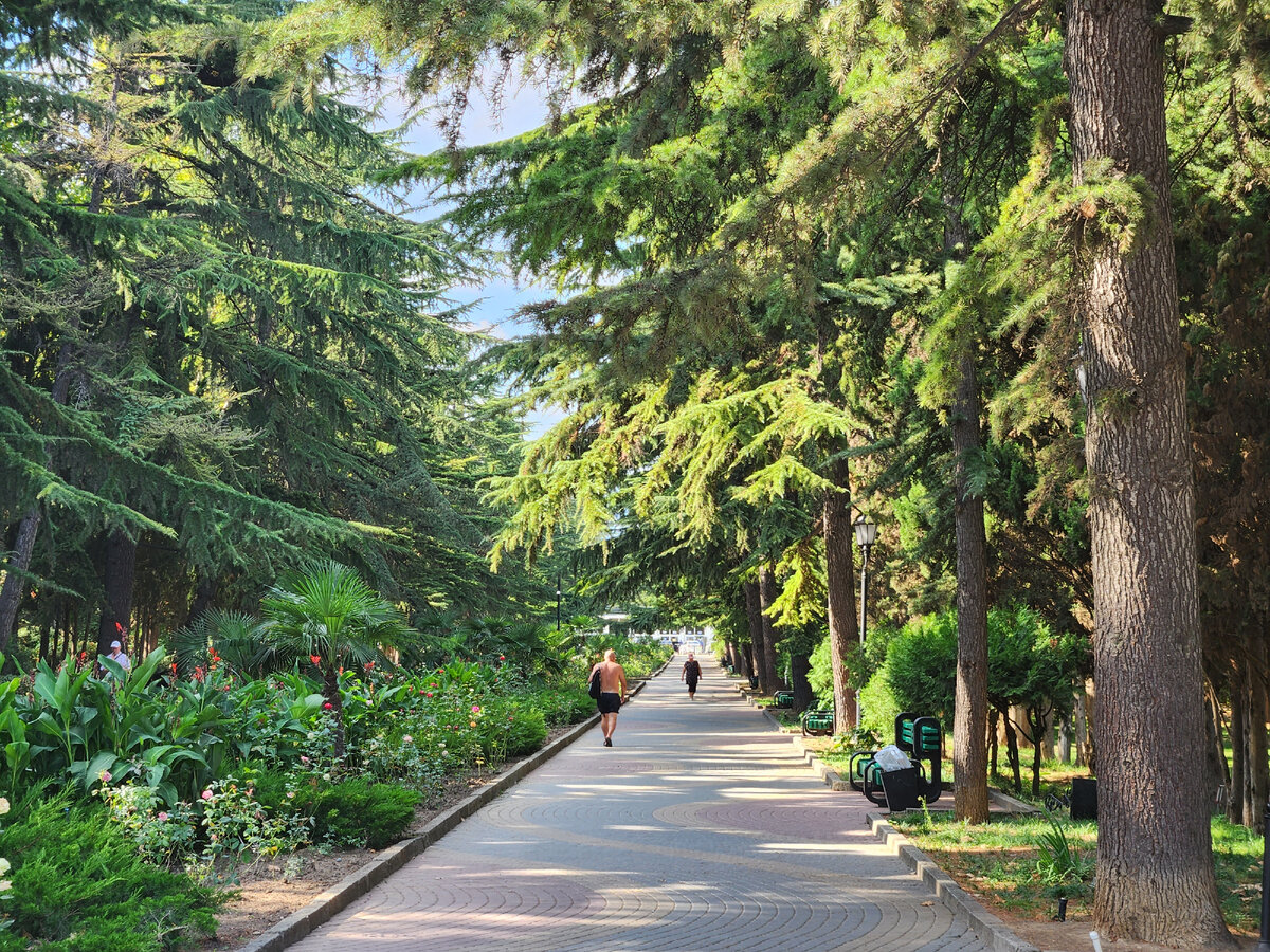 парк приморский в алуште