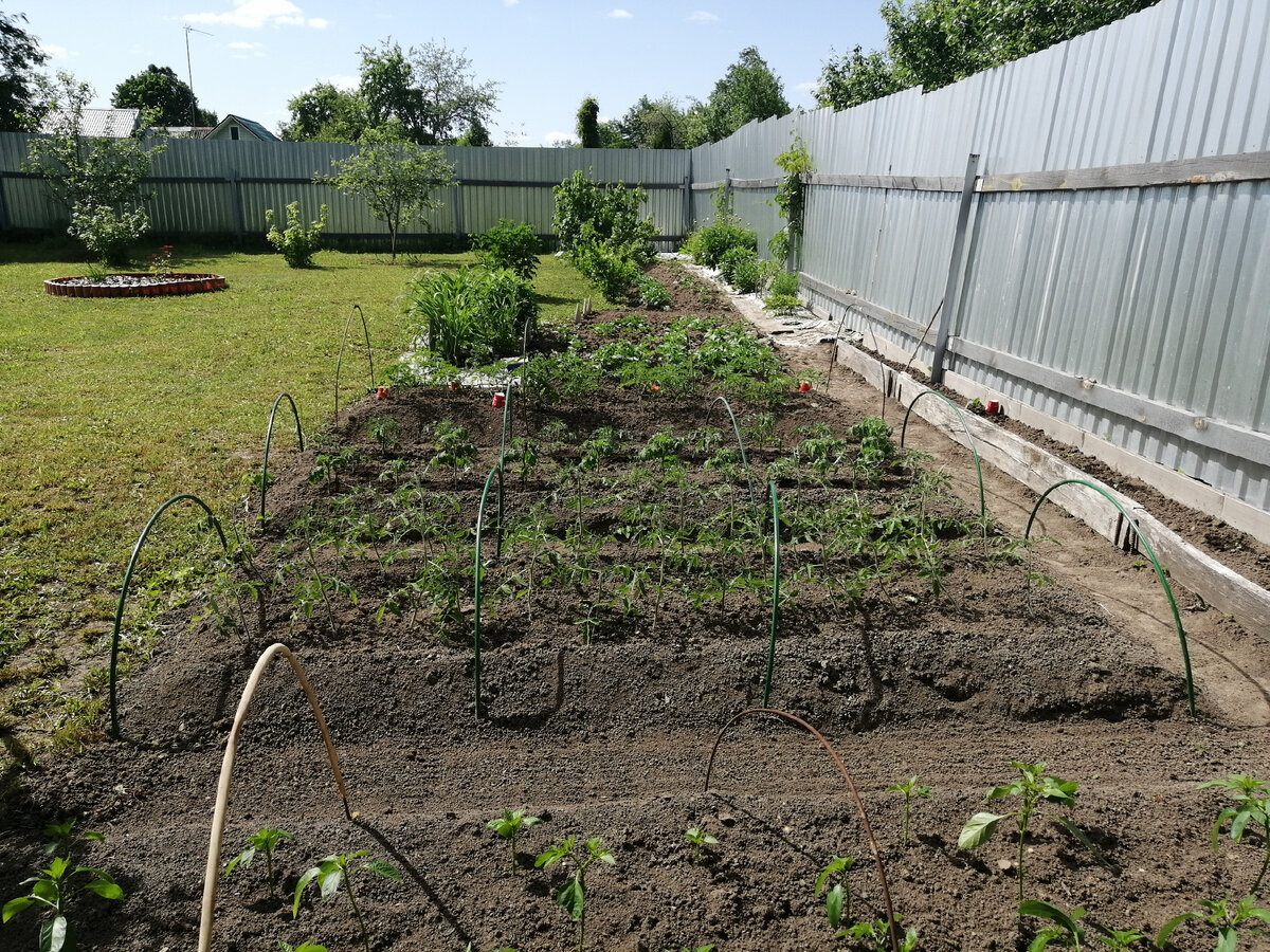 Если есть сад, то как же без огорода? 