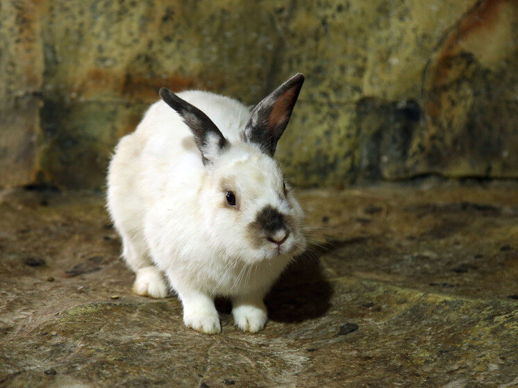     ФОТО: Лилия Шарловская