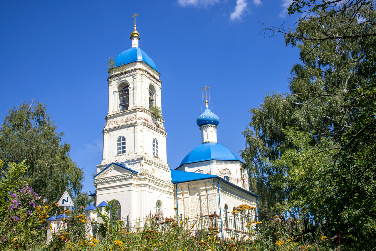 Спас-Досчатый: искали тайник, а нашли... | Дневник Велозависимой | Дзен