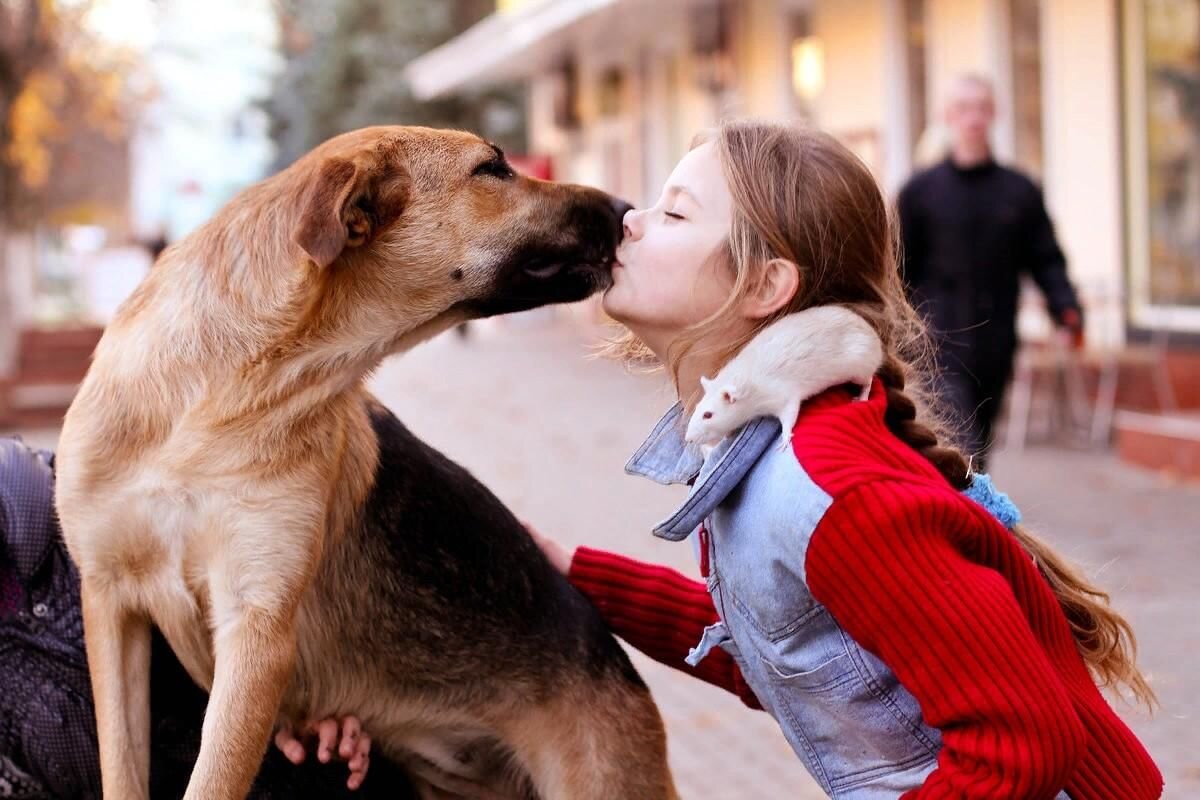 милосердие к людям. доброта и милосердие. добро людям. доброта к животным. добрые дела.