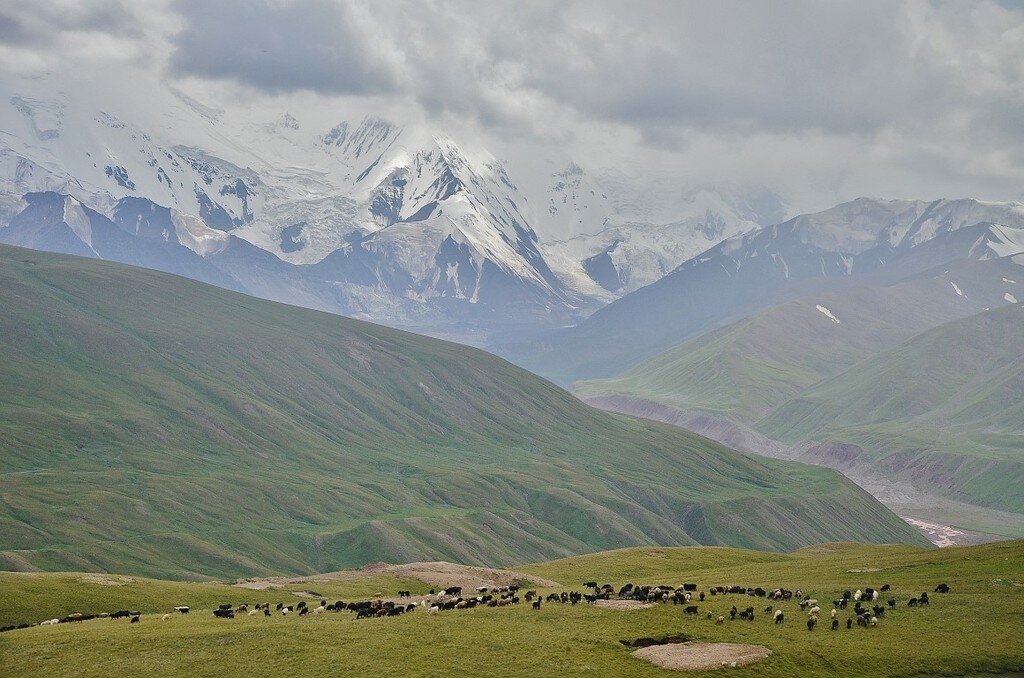 Ферганская долина узбекистан фото