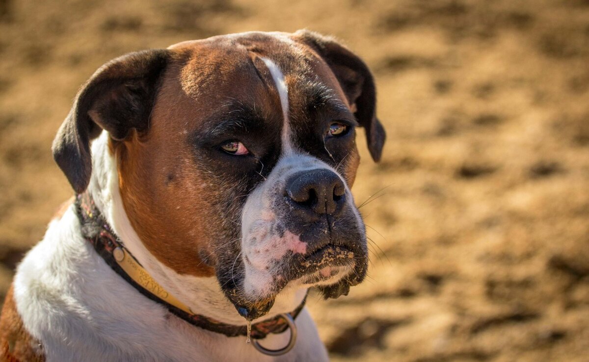 Фото по ссыли из Инета