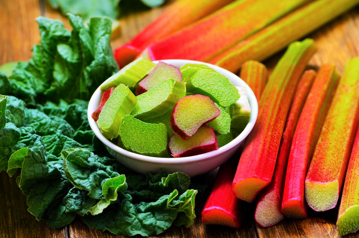 фото: expressum.net / сад дача ревень растения огород витамины участок урожай