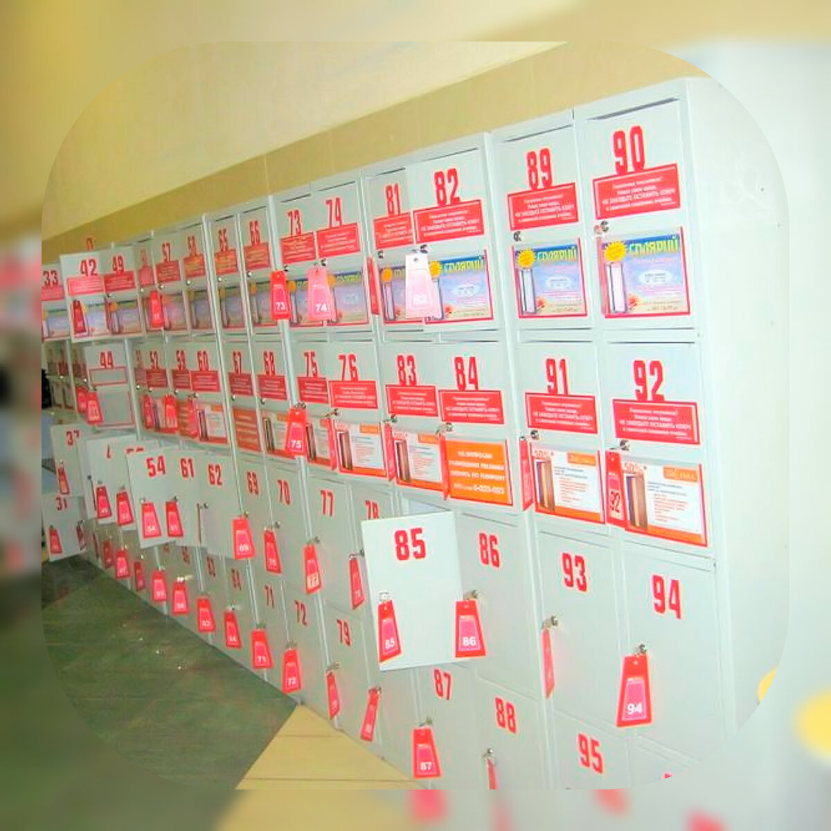 Продуктовые ячейки 